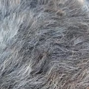 Herdwick Sheepskin image 5