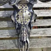 Painted stag skull image 1