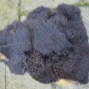 Hebridean Sheepskin image 3