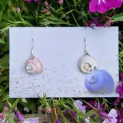 Sea Shell Earrings image 1