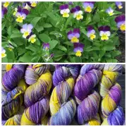 Hand-Dyed Yarn: 100% Merino, aran x5 image 6