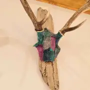 Tweed covered mini stag skull image 7