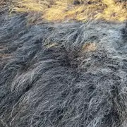 Herdwick Sheepskin image 2