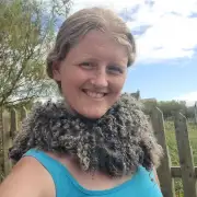 Felted wool collar - gotland image 2