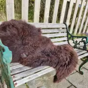 Hebridean Sheepskin image 3