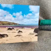 Greetings cards pack of 6 - summer image 10