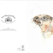 Greetings cards pack of 6 - My Artwork image 6