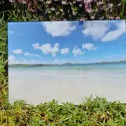 Glass Placemat Reef Beach image 1