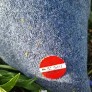 Harris tweed cushion cover image 3