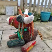 Tweed Heilan Coo image 6