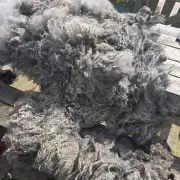 Gotland fleece - whole image 1