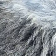 Herdwick Sheepskin image 2