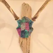 Tweed covered mini stag skull image 8