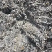 Gotland fleece image 2