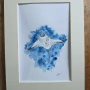 Mini Original watercolour of a manta ray image 1