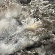 Gotland fleece image 12