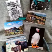 Greetings cards pack of 6 - Hebridean image 8