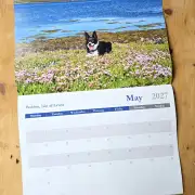 2027 Calendar - sheep and dogs image 6