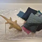Mini mini shark craft pack image 2