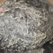 Gotland lambswool 428g image 4