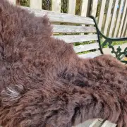 Hebridean Sheepskin image 4