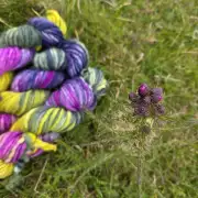 Thistle Yarn preorder - Chunky image 3