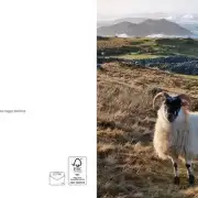 Greetings cards pack of 6 - Hebridean image 6