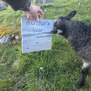 A Crofter's Year image 15