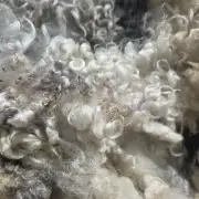 Gotland fleece image 5