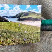 Greetings cards pack of 6 - summer image 13