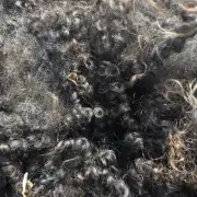 Gotland fleece - whole image 4