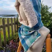Two Sisters Tweeds Hooded Scarf Lambswool image 5