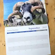 2027 Calendar - sheep and dogs image 10