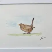 Mini Original Watercolour of a wren image 1