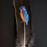 Kingfisher painted on a goose feather image 2