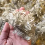 Gotland lambswool 434g image 5