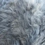 Herdwick Sheepskin image 2