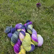 Thistle Yarn preorder - 4 ply image 3