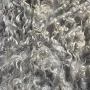 Gotland fleece - whole image 5