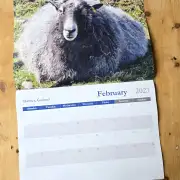 2027 Calendar - sheep and dogs image 3