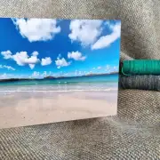 Greetings cards pack of 6 - summer image 9