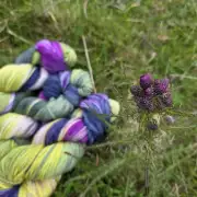 Thistle Yarn preorder - Aran image 4