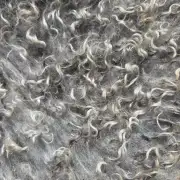 Gotland fleece - whole image 6