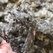 Gotland lambswool 662g image 7