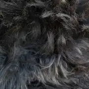Hebridean Sheepskin image 4