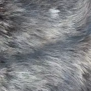 Hebridean Sheepskin image 5
