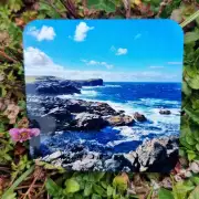 Coaster - westside cliffs image 1