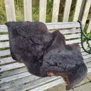 Hebridean Sheepskin image 1
