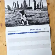 2027 Calendar - sheep and dogs image 13