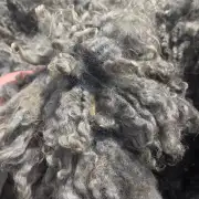 Gotland fleece image 9